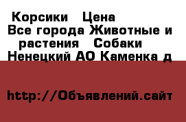 Корсики › Цена ­ 15 000 - Все города Животные и растения » Собаки   . Ненецкий АО,Каменка д.